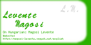 levente magosi business card